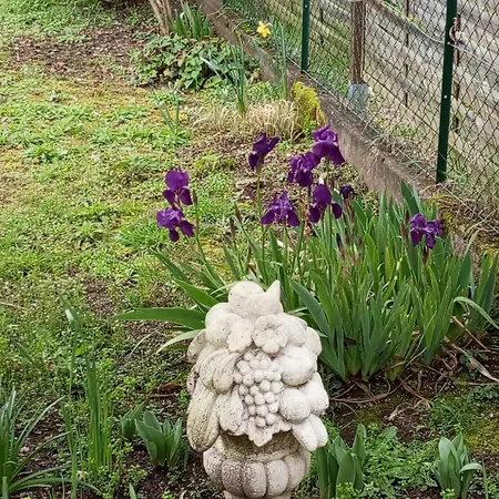 Jolie Maison Quartier Vesone