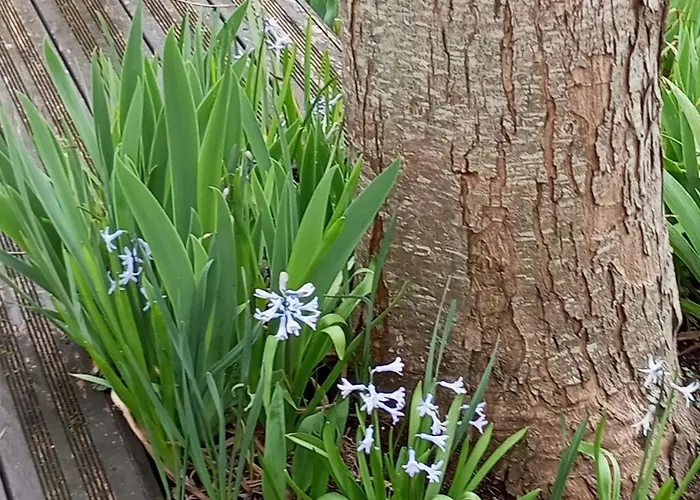 Jolie Maison Quartier Vesone Villa Périgueux
