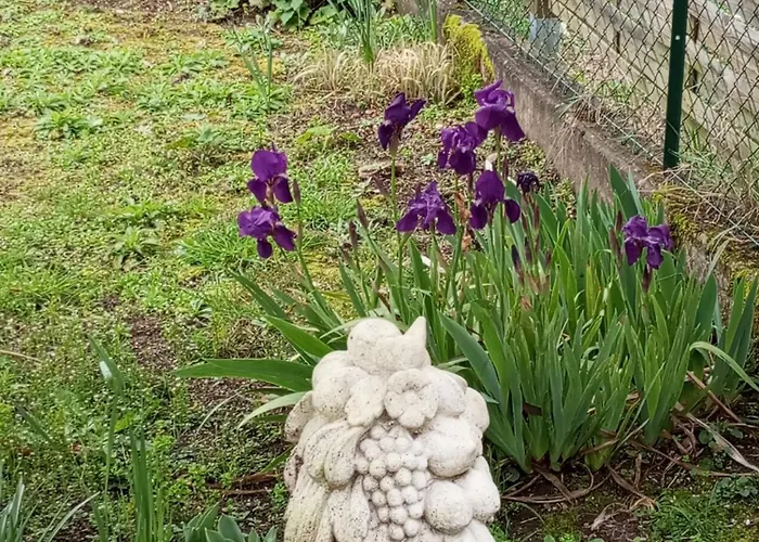 Jolie Maison Quartier Vesone